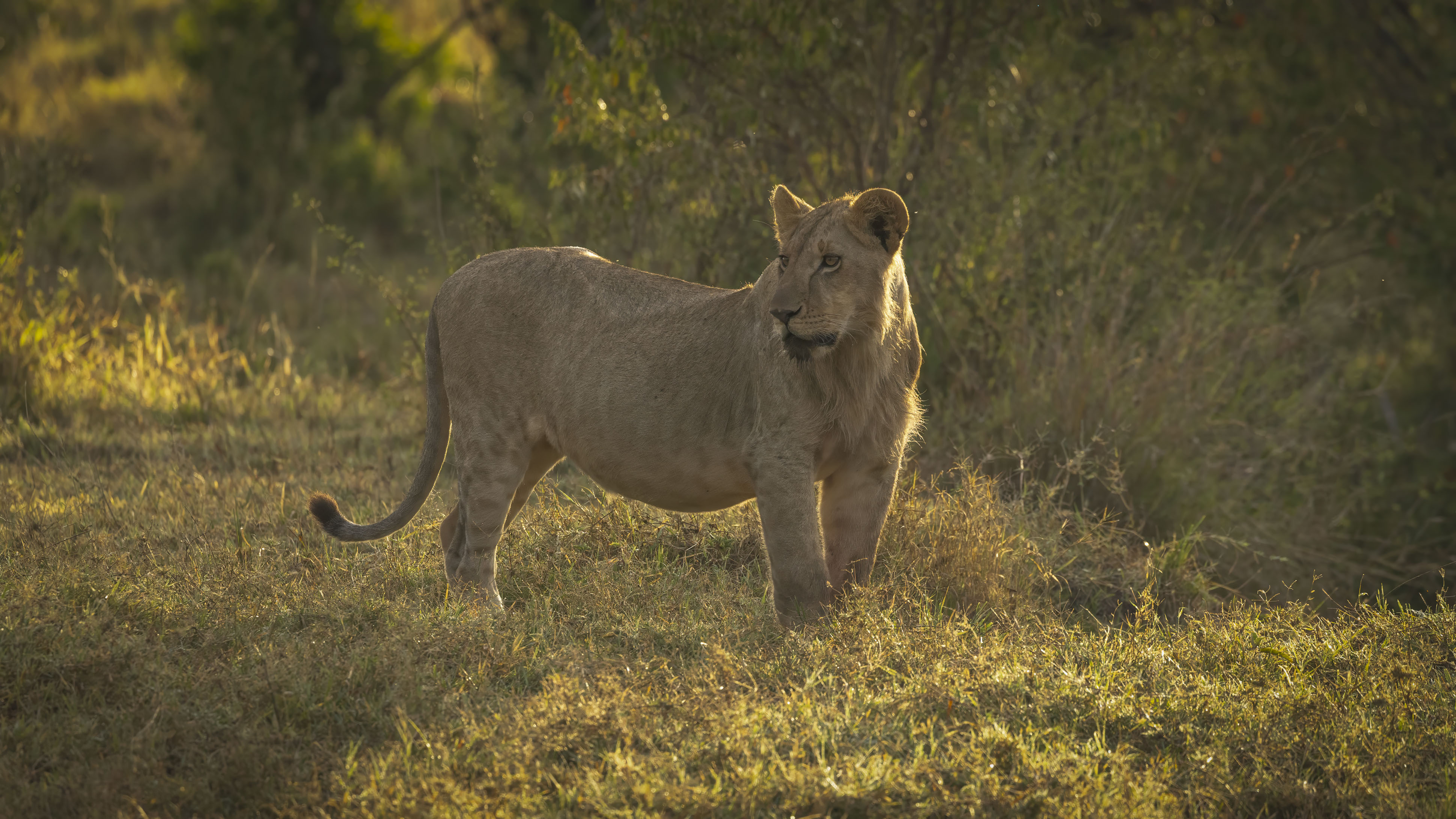 November 10, 2022-064148-Edit.jpg